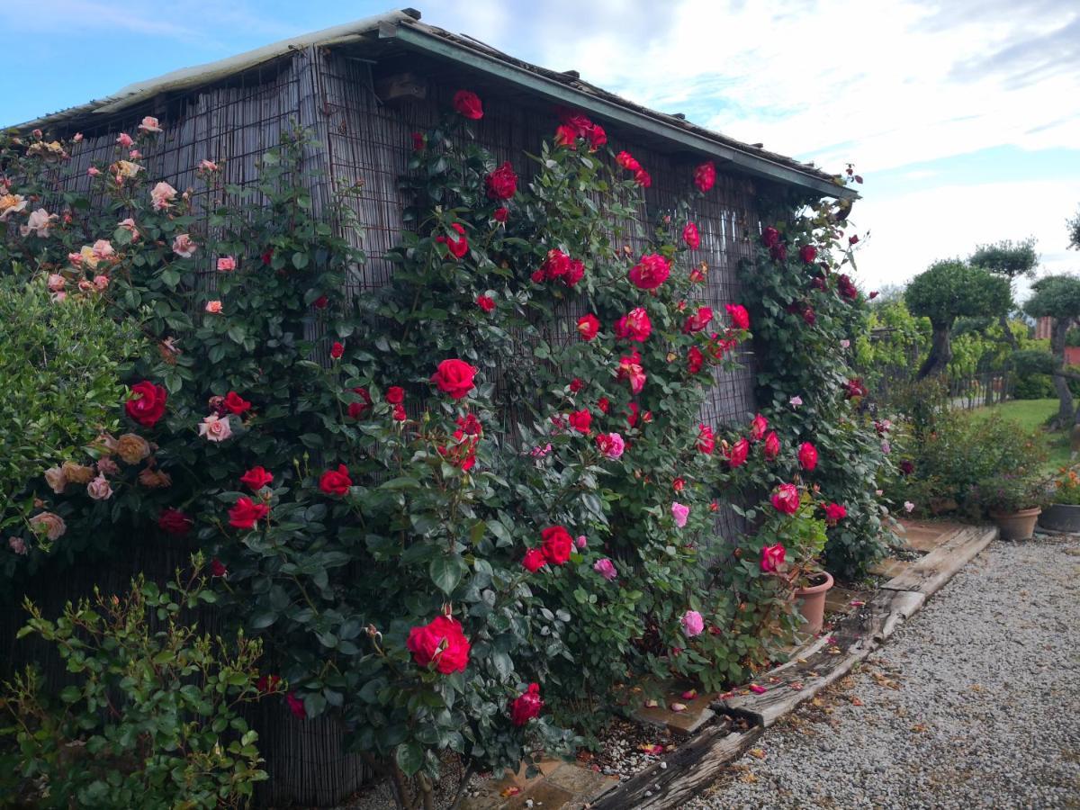 Agriturismo I Colli Montaione Exterior foto