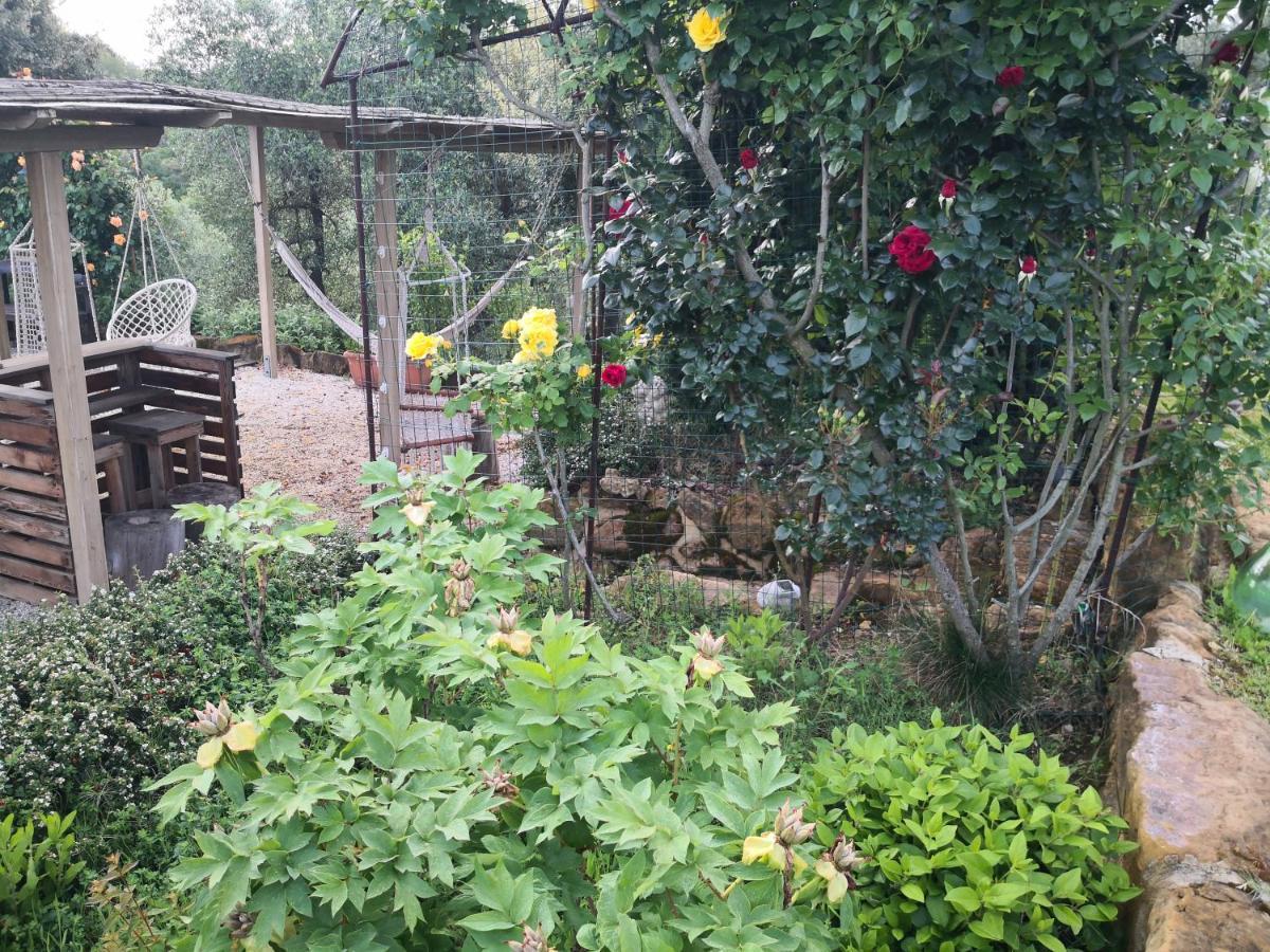 Agriturismo I Colli Montaione Exterior foto